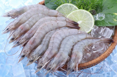 Vasep forecast upbeat shrimp export growth for 2018